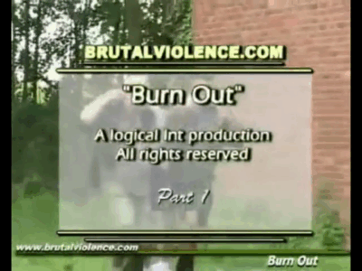 Brutal Violence Burn Out