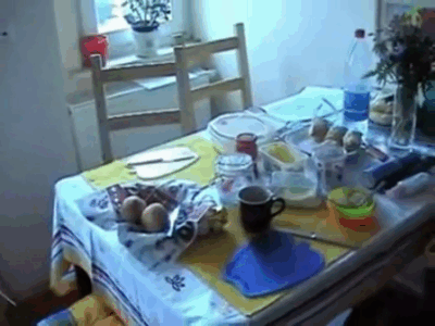 Brother and Sister Fuck on Kitchen Table